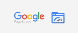 google speed update