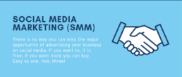 SMM