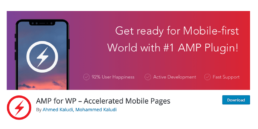 AMP for WP Plugin